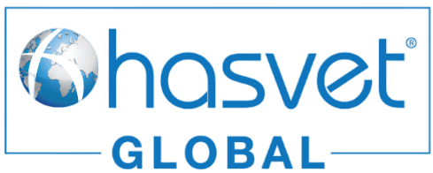 Hasvet Global Company Logo