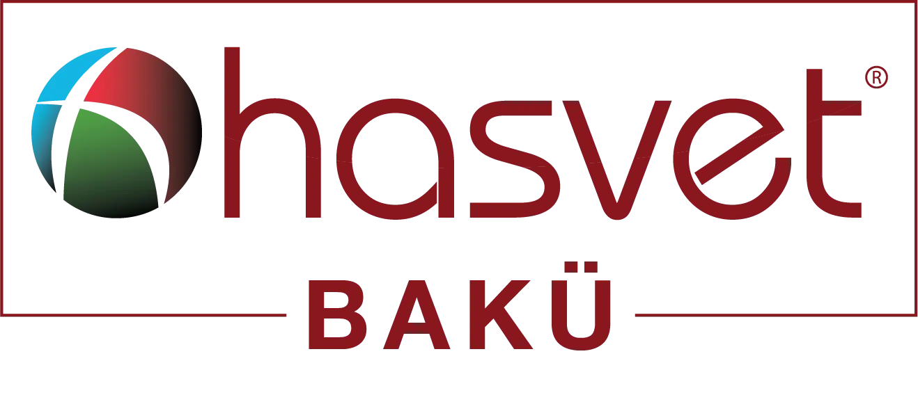 Baku logo
