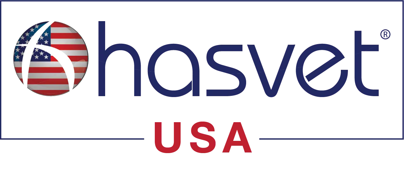 USA logo